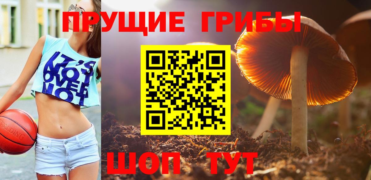 Псилоцибиновые грибы Cubensis  Псилоцибиновые грибы Psilocybine cubensis  Вход с VPN  Апшеронск 