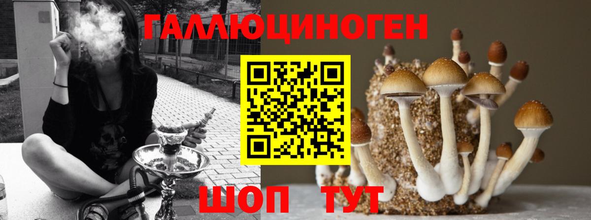 Галлюциногенные грибы мицелий Апшеронск